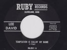 LEE DAVID TEMPTATION IS CALLIN' MY NAME  NORTHERN