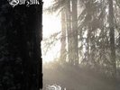 BURZUM - Belus - New 2-LP blanc / white