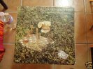 KOZMIC MUFFIN SPACE BETWEEN GRIEF AND COMFORT PSYCH LP
