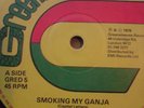 Capital Letters Smoking My Ganja Greensleeves UK 12