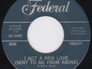 Girl Group Northern Soul 45-Lynn Davis-Federal-Hear 