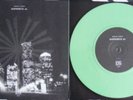 Carpathian Shipwreck Split  green  have heart sxe mosh