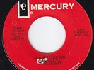 SKUNKS A Girl Like You SCORCHING garage rock G45 LISTEN
