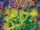 Purple Overdose- a trip to a Purpleland- 2LP coloured