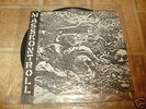 MASSKONTROLL / BATTLE OF DISARM FLEXI gism detestation