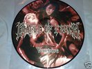 Cradle Of Filth-Vempire-PICTURE VINYL/LP