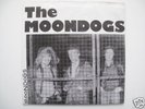 Moondogs -  She's nineteen, KBD Irish Punk Powerpop