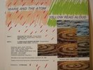 Marie and The Atom Yellow Read. NZ POST PUNK Flying Nun