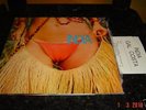 Gal Costa India 1973 Psych LP Duprat OG GFOLD w Insert