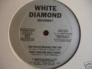 TERRY LEWIS & WILD FLOWER peoples message DISCO RAP 12