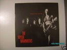 THE WYLDE MAMMOTHS Things That Matter LP MINT