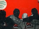 THE ANGELS-