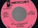 Garage 45 The Skunks A Girl Like You MERCURY PROMO mp3
