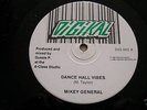 MIKEY GENERAL - DANCE HALL VIBES / DIGIKAL 12