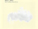 BUILT TO SPILL - THERE'S NOTHING WRONG WITH LOVE [LP]