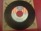 Cherry Slush 45 I Cannot Stop You Michigan Garage VG++