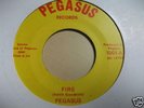 Pegasus Fire USA Pegasus Funky 60's Punker Fuzz Garage