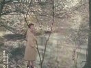 Pinky Winters on Argo