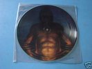 Tool Aenima Rare Promo picture disk LP