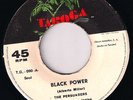 The Persuaders Black Power Rare Panama Funk Soul 45 MP3