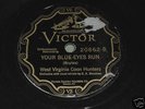 West Virginia Coon Hunters: Your Blue 78 - Hillbilly