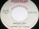 PRIVATE texas GARAGE psych 45/LAVENDER HILL EXPRESS/?