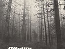 THE CURE a forest 1980 12