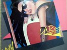 PRIVATE HARD ROCK AOR POMP LP L.A. RAY & THE SHADES