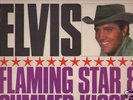 ELVIS PRESLEY FLAMING STAR SUMMER 1965 MONO LP RECORD