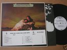 JOHN & BEVERLEY MARTYN Stormbringer LP PROMO folk MINT