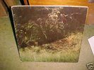 THE BALLAD OF EVERGREEN BLUESHOES -hippie psych LP -`69