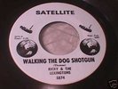 DETROIT MOD SOUL GARAGE 45 Ricky & The Lexingtons HEAR