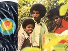 MICHAEL JACKSON 5 MAYBE TOMORROW LP ITALY MINT JACKO