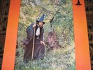 GANDALF THE GREY - THE GREY WIZARD AM I/GWR US 72 ORIG