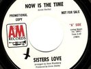 Funk Soul 45 SISTERS LOVE 