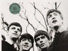 BEATLES-LP- ALTERNATE WITH THE BEATLES- GREEN