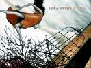 Circa Survive Juturna LP OOP/1000