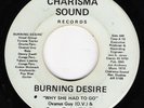 BURNING DESIRE Why She Had To RARE MODERN SOUL FUNK 45
