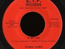 Soul Funk 45   Eternal Flames on E.T.F. ?