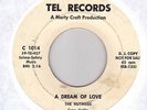 R&B doo-wop NUTMEGS Dream of Love / Someone TEL   HEAR