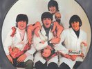 THE BEATLES YESTERDAY & TODAY BUTCHER PICTURE DISC LP