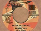 SAMMY JAY & TIFFINEERS 45 on TRIBE 8311 nm DJ