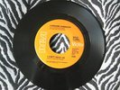 LORRAINE CHANDLER I CANT HOLD ON RCA ORANGE ISSUE