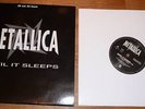 Metallica Until It Sleeps French 10