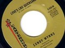 SANDY WYNNS