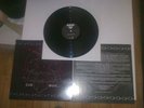DESTROYER 666 Cold Steel... LP gospel of the horns NME