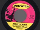 Shadows of Knight Bad Little Woman Mono 60's Garage NM