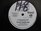 NICK STRAKER BAND-LITTLE BIT OF JAZZ-12