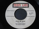 Serenaders on Teen Life   rare Detroit doo wop 45 HEAR