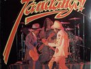 ZZ TOP FANDANGO MINT ORIGINAL 1977 LP RARE ORIG LP MIX